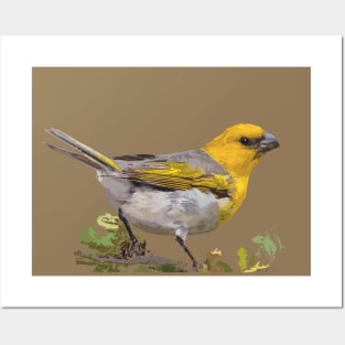 Palila, Hawaiian honeycreeper Posters and Art